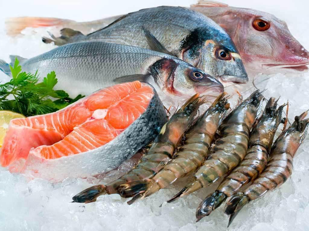 свежая рыба и морепродукты 